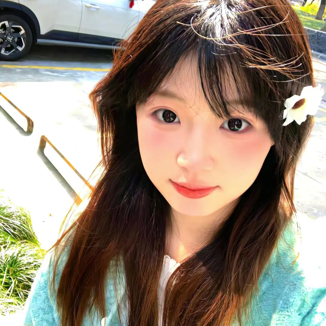 森林泰山